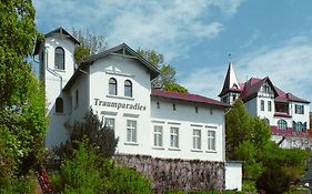Traumparadies
